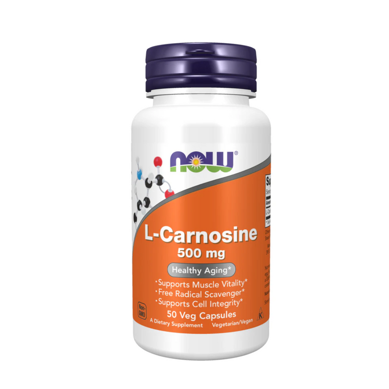 L-Carnosine 500 mg, 50 kaps.-Karnosiini-NOW® Foods-Aminopörssi